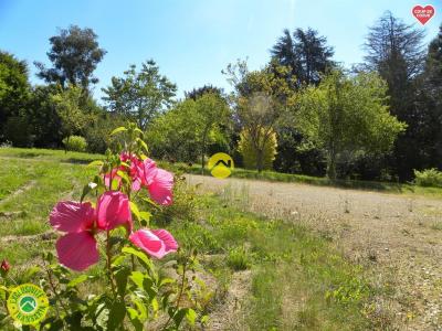 Annonce Vente 4 pices Maison Cernoy-en-berry 45