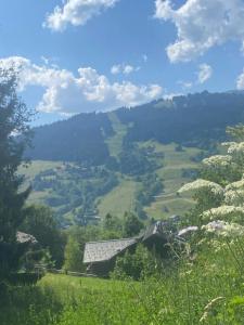 Annonce Vente Terrain Megeve 74
