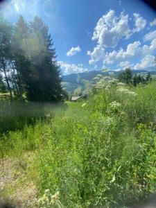 Acheter Terrain 1180 m2 Megeve