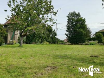 Annonce Vente Terrain Larringes 74
