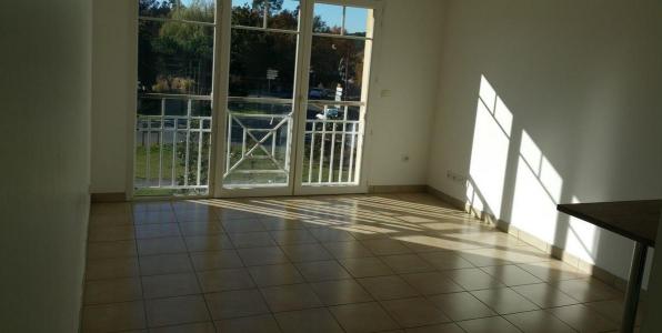For rent Gujan-mestras 1 room 30 m2 Gironde (33470) photo 0