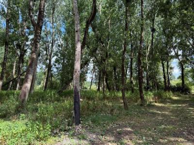 For sale 4 rooms 89 m2 Charente (16700) photo 3