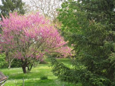For sale Preuilly-sur-claise 4 rooms 87 m2 Indre et loire (37290) photo 4