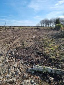 Acheter Terrain Assigny 59600 euros