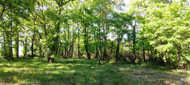 For sale Villefranche-de-lonchat 2975 m2 Dordogne (24610) photo 0