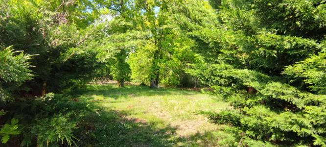 For sale Villefranche-de-lonchat 2177 m2 Dordogne (24610) photo 1