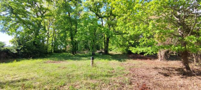 For sale Villefranche-de-lonchat 2177 m2 Dordogne (24610) photo 2