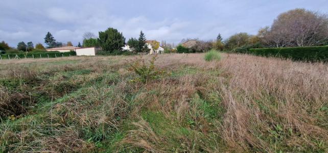 For sale Saint-leon-sur-l'isle 2284 m2 Dordogne (24110) photo 2