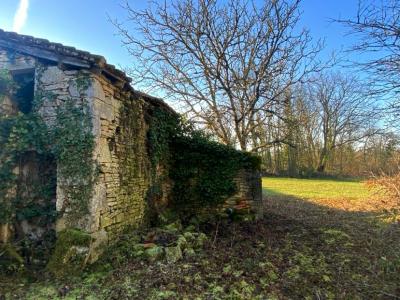 For sale Negrondes 1 room 65 m2 Dordogne (24460) photo 1