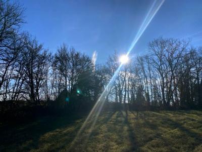For sale Negrondes 1 room 65 m2 Dordogne (24460) photo 2