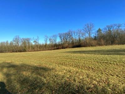 For sale Negrondes 1 room 65 m2 Dordogne (24460) photo 3