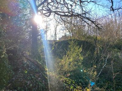 For sale Negrondes 1 room 65 m2 Dordogne (24460) photo 4