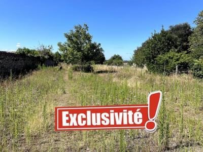 For sale Paimboeuf 1345 m2 Loire atlantique (44560) photo 2