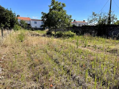 For sale Paimboeuf 1345 m2 Loire atlantique (44560) photo 3