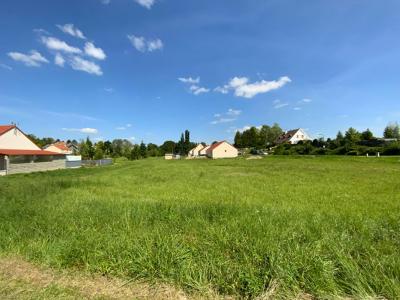 Annonce Vente Terrain Avancon 08