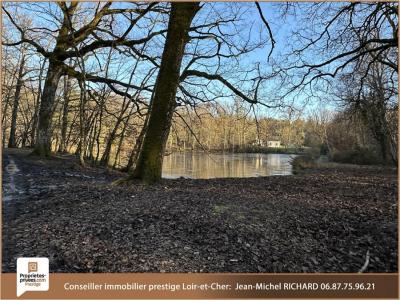 Acheter Maison Neuvy-sur-barangeon 2700000 euros