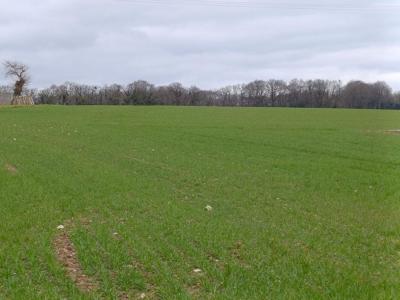 For sale Saint-gerand 880 m2 Morbihan (56920) photo 0