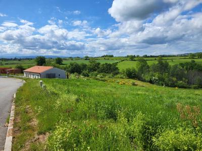For sale Saint-marcel-de-felines 685 m2 Loire (42122) photo 0