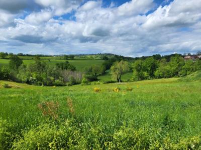 Acheter Terrain 685 m2 Saint-marcel-de-felines