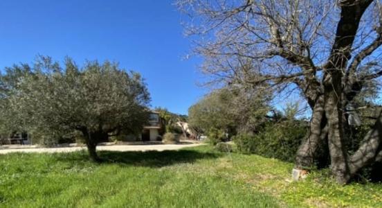 Acheter Maison Bormes-les-mimosas 1245000 euros