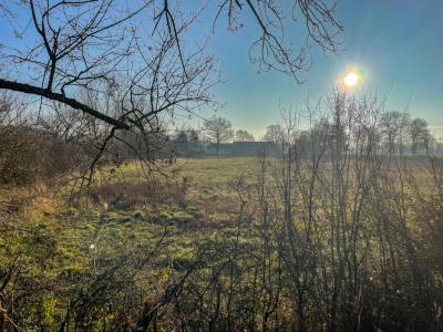 For sale Chatres-sur-cher 12500 m2 Loir et cher (41320) photo 1