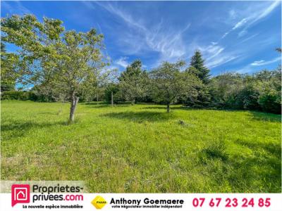 For sale Villefranche-sur-cher 1612 m2 Loir et cher (41200) photo 0