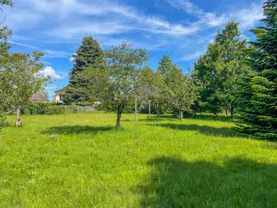 For sale Villefranche-sur-cher 1612 m2 Loir et cher (41200) photo 1