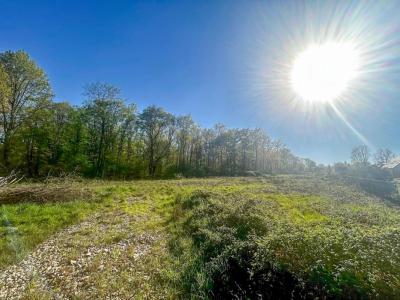 For sale Villefranche-sur-cher 6804 m2 Loir et cher (41200) photo 1