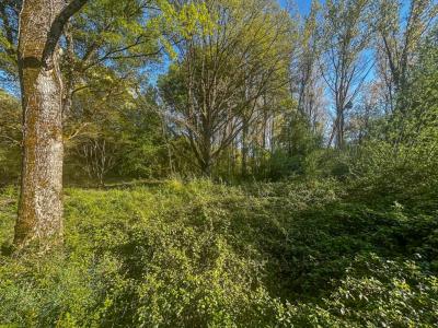 For sale Villefranche-sur-cher 6804 m2 Loir et cher (41200) photo 3