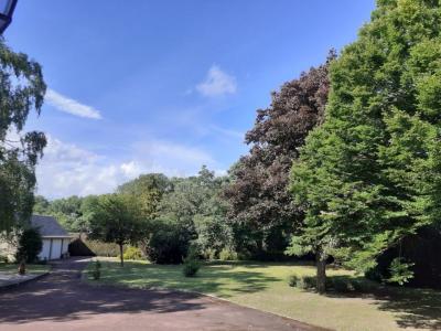 For sale Ormes 8 rooms 229 m2 Loiret (45140) photo 4