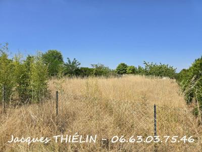 Acheter Terrain 658 m2 Longue-jumelles
