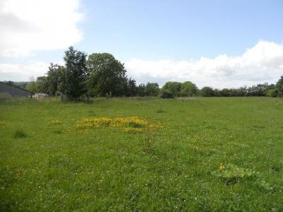 Annonce Vente Terrain Saint-quentin 02