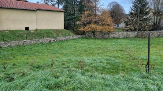 Acheter Terrain Beauzac Haute loire