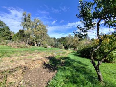 Annonce Vente Terrain Seauve-sur-semene 43