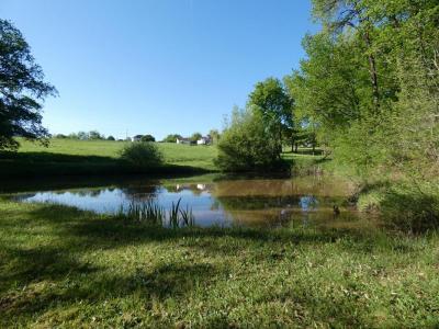 For sale Sainte-trie 13527 m2 Dordogne (24160) photo 0
