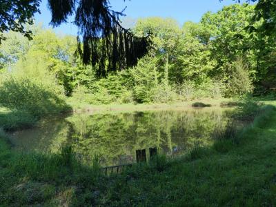 For sale Sainte-trie 13527 m2 Dordogne (24160) photo 1