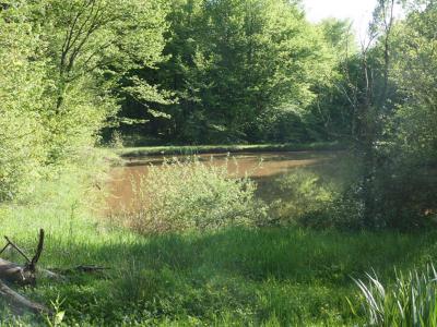 For sale Sainte-trie 13527 m2 Dordogne (24160) photo 2