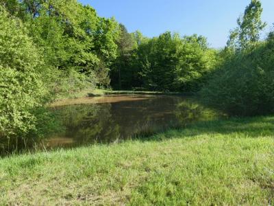 For sale Sainte-trie 13527 m2 Dordogne (24160) photo 3