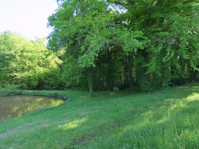 For sale Sainte-trie 13527 m2 Dordogne (24160) photo 4