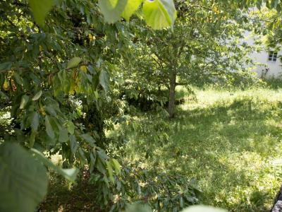 For sale Mouthier-haute-pierre 450 m2 Doubs (25920) photo 0