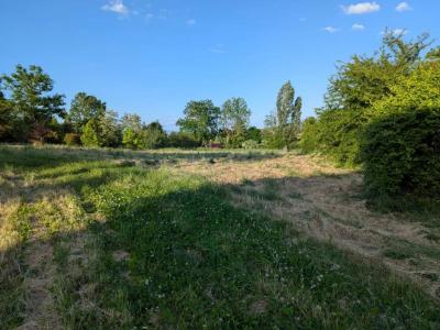 Annonce Vente Terrain Montbrison 42