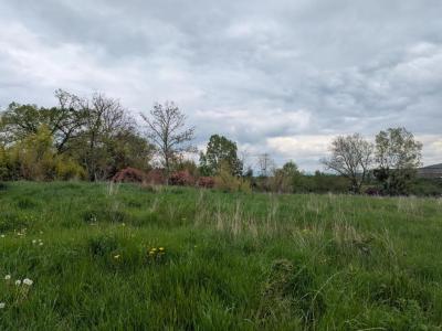 Acheter Terrain 3098 m2 Montbrison