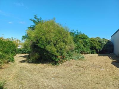 For sale Quiberon 760 m2 Morbihan (56170) photo 0