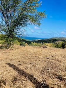 Annonce Vente Terrain Marin 972