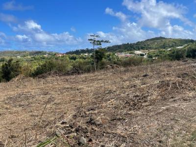 Acheter Terrain 5600 m2 Marin