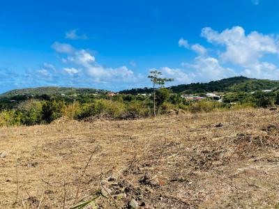 Acheter Terrain Marin Martinique