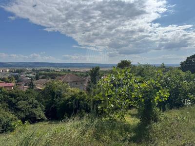 Acheter Terrain 2010 m2 Arzay