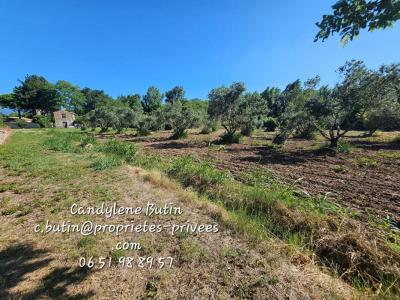 Acheter Maison Peyriac-minervois 599000 euros