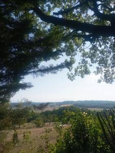 Acheter Maison Tarbes 323000 euros