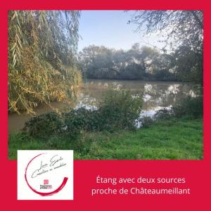 For sale Vicq-exemplet 1 room 7181 m2 Indre (36400) photo 4